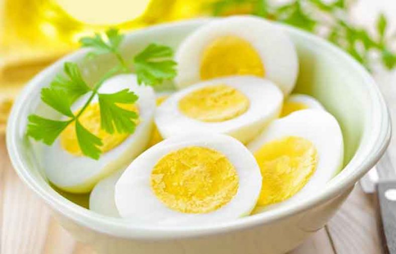 دادن تخم مرغ به نوزاد