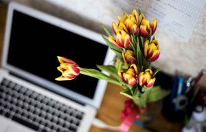 تغییر دکوراسیون اداری