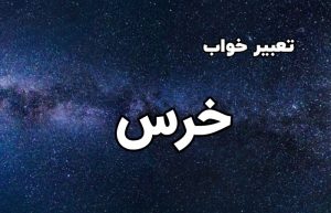 تعبیر خواب خرس