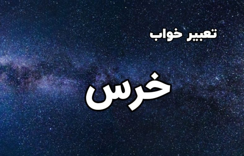 تعبیر خواب خرس