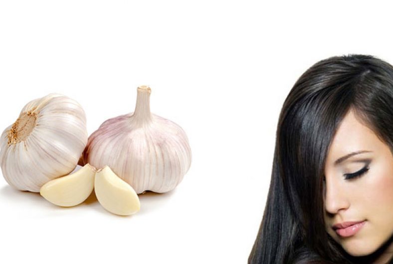 سیر برای پرپشت شدن مو