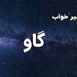 تعبیر خواب گاو