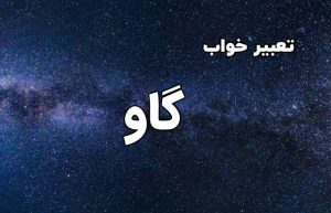 تعبیر خواب گاو