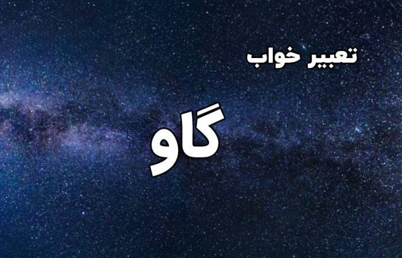 تعبیر خواب گاو