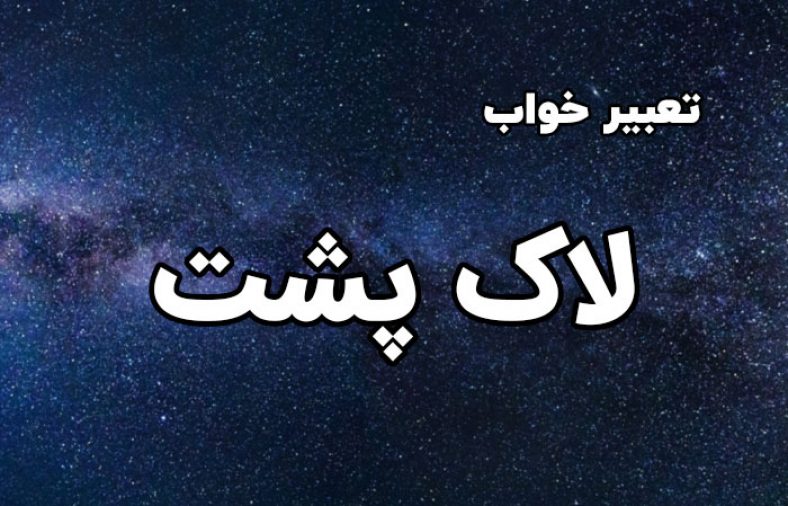 تعبیر خواب لاک پشت