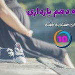 هفته دهم بارداری