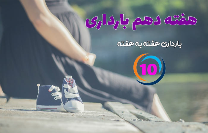 هفته دهم بارداری
