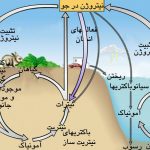 چرخه نیتروژن