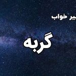 تعبیر خواب گربه