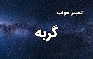 تعبیر خواب گربه