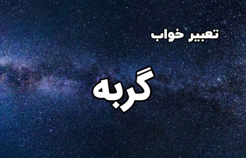 تعبیر خواب گربه