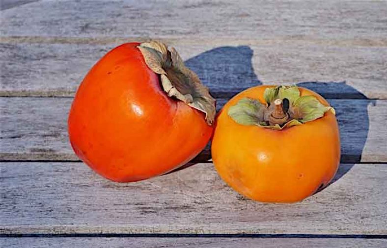 خواص خرمالو برای کبد