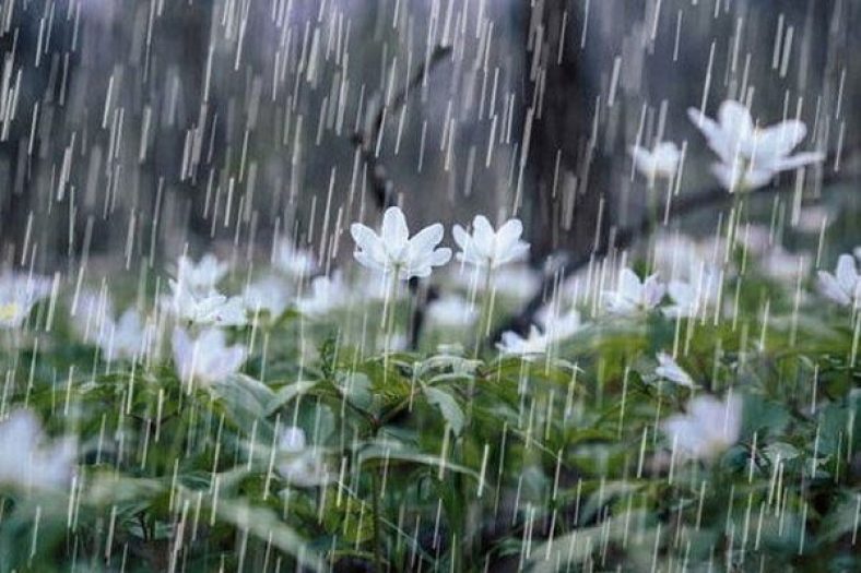 مقدار بارندگی در شهرهای مختلف
