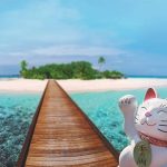 انشا درباره شانس