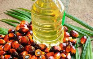 خواص روغن بدون پالم