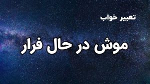 تعبیر خواب موش در حال فرار