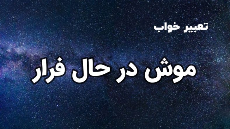 تعبیر خواب موش در حال فرار