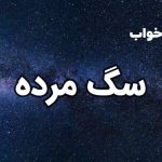 تعبیر خواب سگ مرده