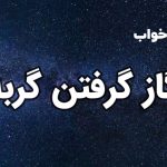تعبیر خواب گاز گرفتن گربه
