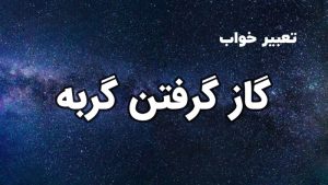 تعبیر خواب گاز گرفتن گربه