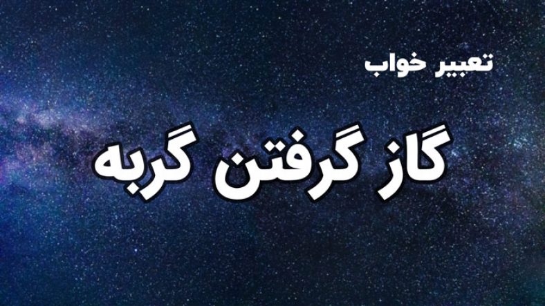 تعبیر خواب گاز گرفتن گربه