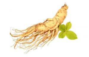 خواص جینسینگ