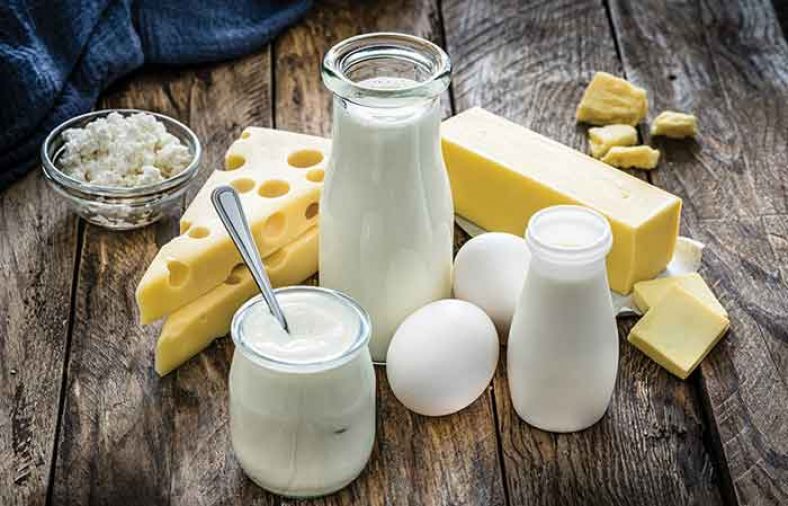 خواص لبنیات برای بدن انسان