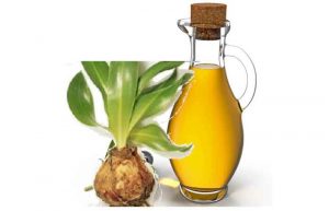 خواص روغن کندش