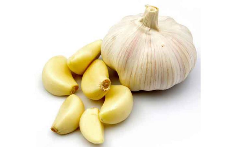 طبع سیر