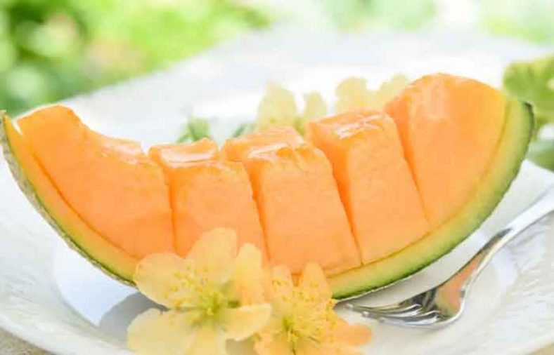 خربزه در بارداری