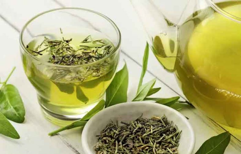 طبع چای سبز