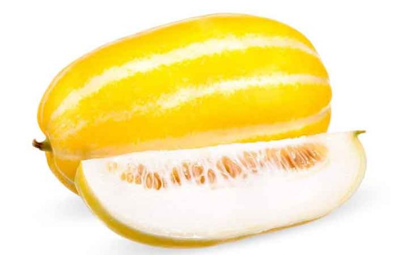 خواص پوست خربزه