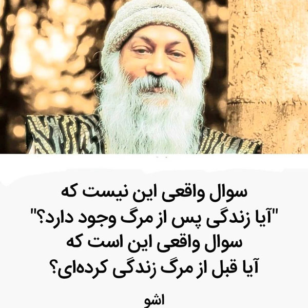 سخن بزرگان در مورد زندگی