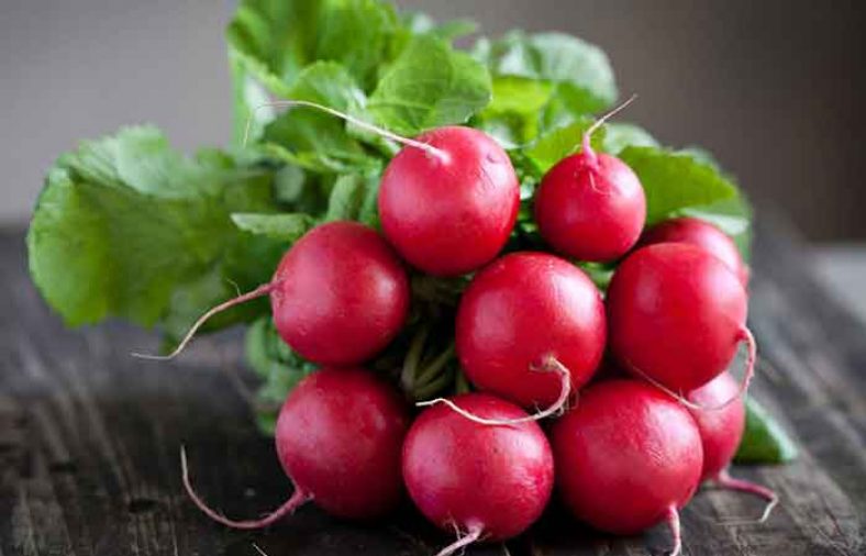 خواص تربچه