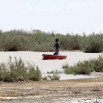 دریاچه هامون