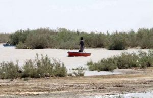 دریاچه هامون