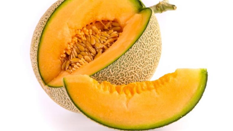 طبع طالبی