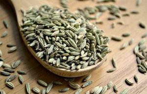 طبع رازیانه
