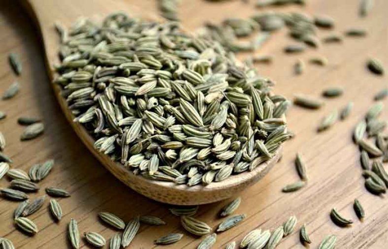 طبع رازیانه