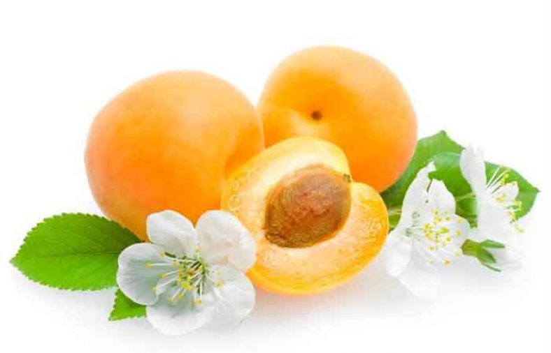 طبع زردآلو