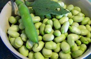 طبع باقالی