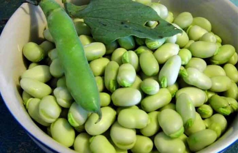 طبع باقالی