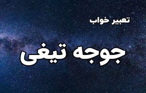 تعبیر خواب جوجه تیغی