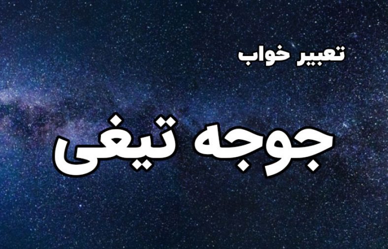 تعبیر خواب جوجه تیغی