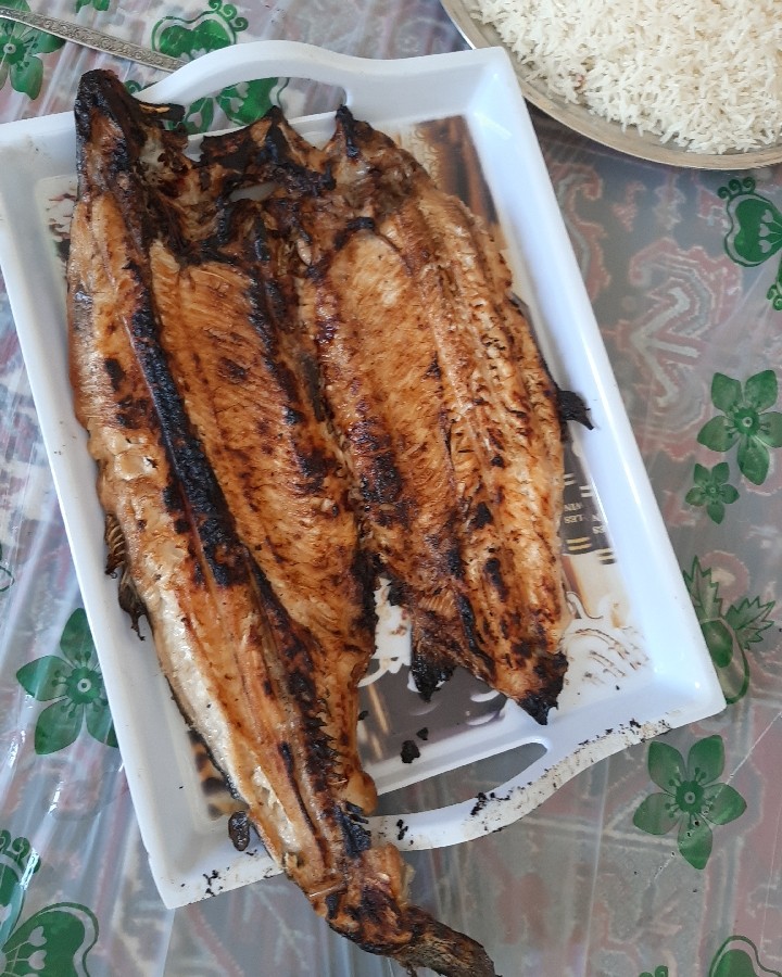 ماهی کباب