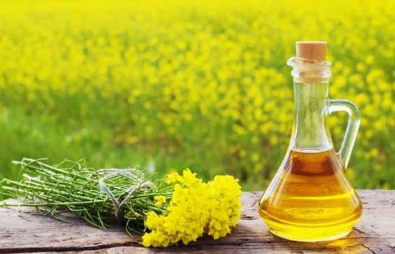 خواص روغن کلزا