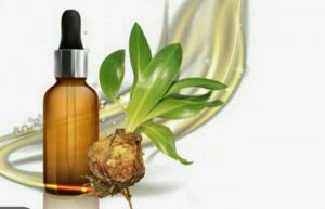 خواص روغن پیاز عنصل