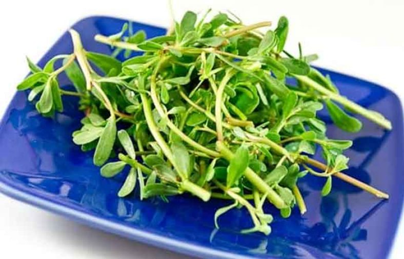 خرفه در بارداری