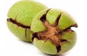 خواص پوست گردو