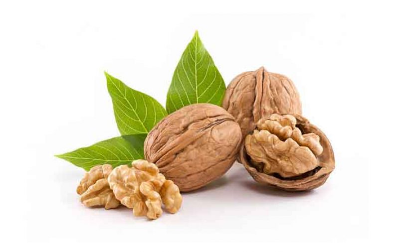 خواص برگ درخت گردو